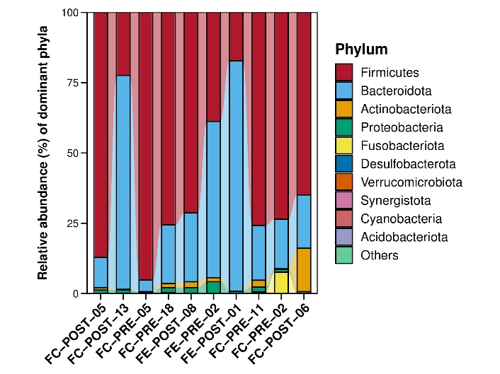 top10-Phylum-堆积冲击图