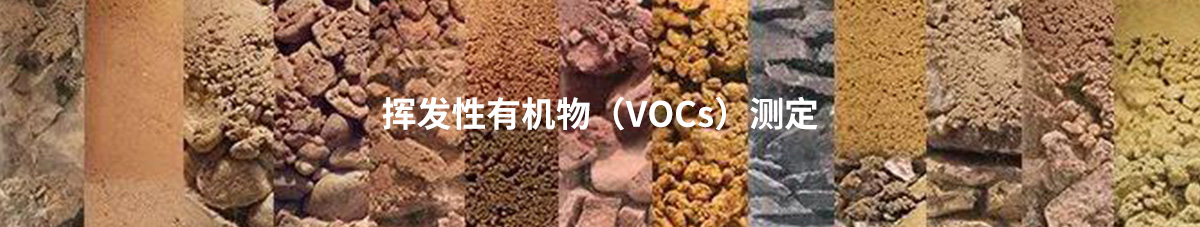 挥发性有机物（VOCs）测定