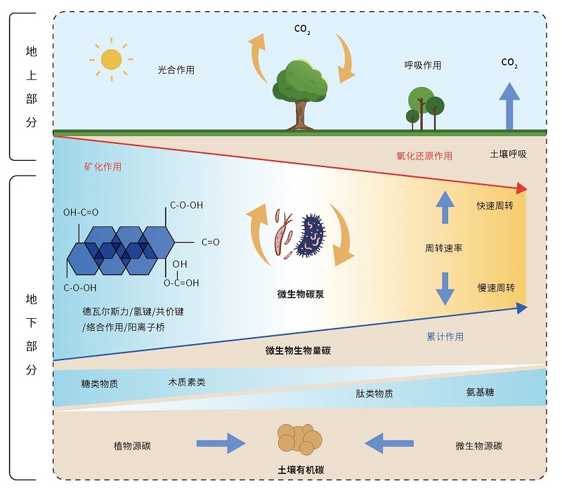 关联图